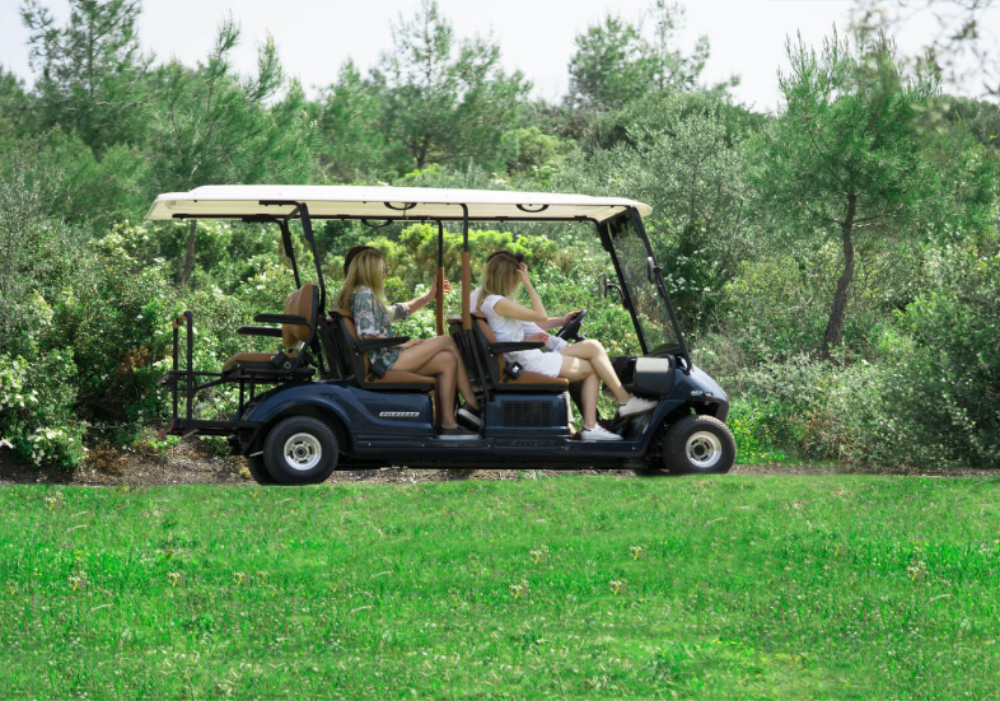 Navetta turistica elettrica 6 posti